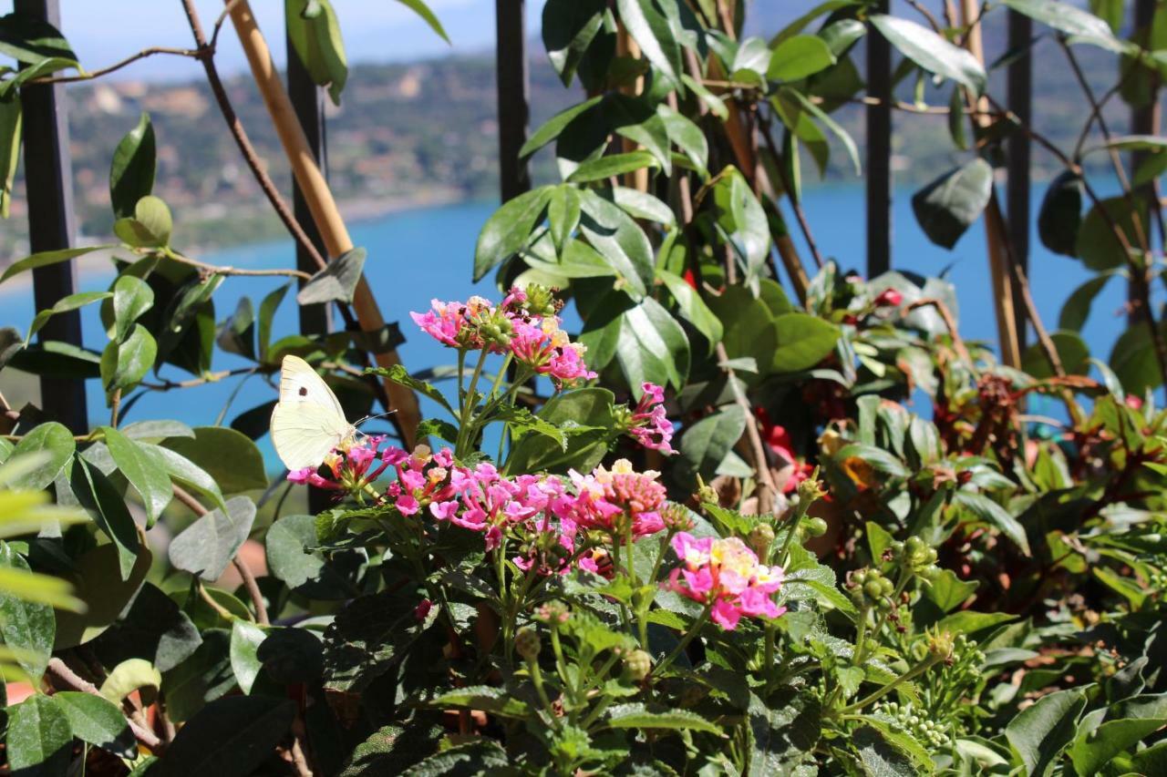 La Casetta Superior Castel Gandolfo Eksteriør bilde